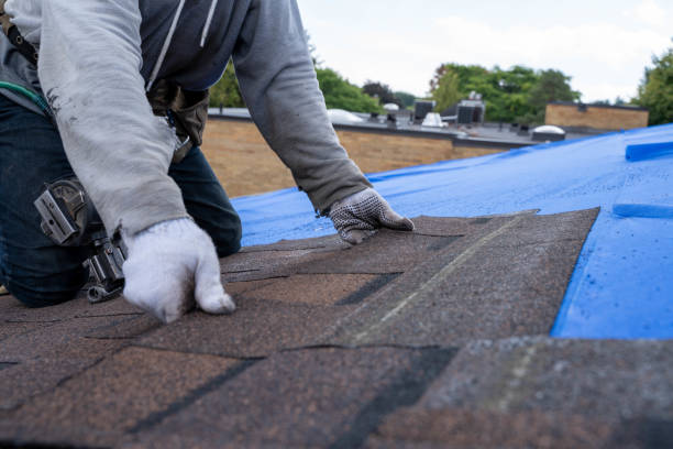 Best Commercial Roofing Services  in Jekyll Island, GA