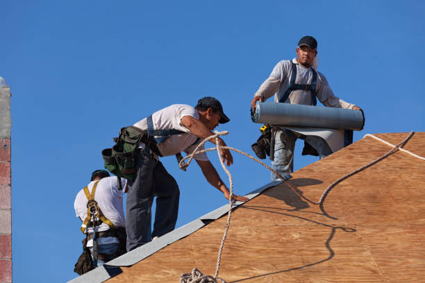 Best New Roof Installation  in Jekyll Island, GA